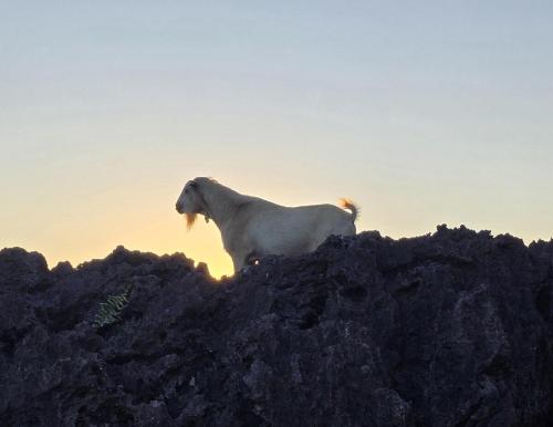 Off-grid Ocean View Hideaway in Mangaia in Mangaia