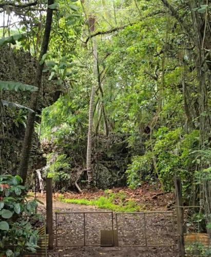 Jardín, Off-grid Ocean View Hideaway in Mangaia in Mangaia