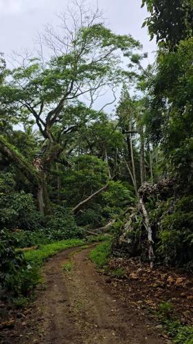 Off-grid Ocean View Hideaway in Mangaia in Mangaia