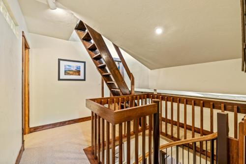 Bear Claw 404 - image 2