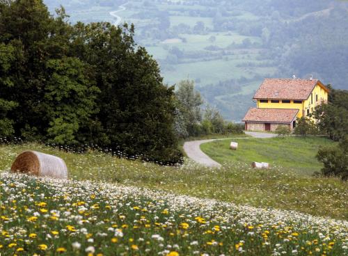  Green Park Monastero, Pension in Rustigazzo