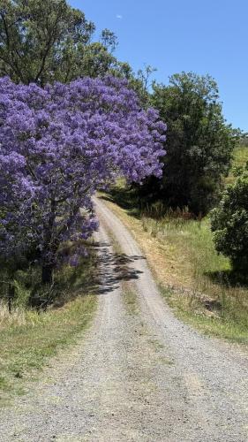 Kalimna Homestead, Historic Stays, Hunter Valley in Paterson