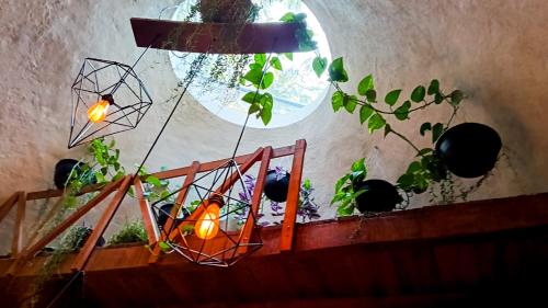Domo Abitare Glamping in San Nicolás De Ibarra