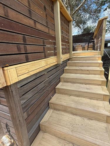 The Whangapoua Tree house in Whangapoua