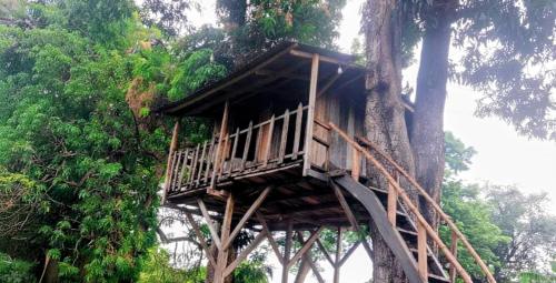 Casa Del Árbol - Ometepe (Casa Del Arbol - Ometepe) in Santa Cruz