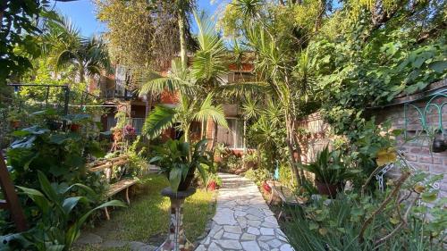 Garden! in Villa Ballester