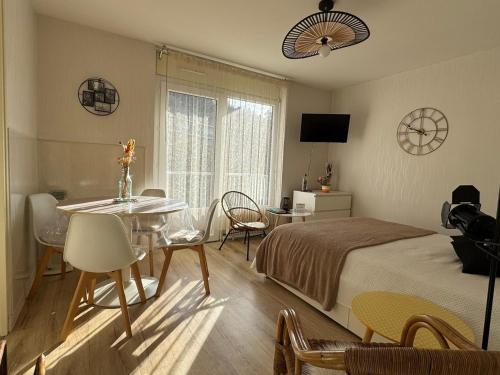 Grand studio lumineux avec balcon et WiFi, résidence avec piscine - FR-1-555-122 - Location saisonnière - Aix-les-Bains