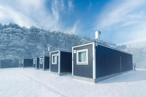 MOBILITA COURT IWATE