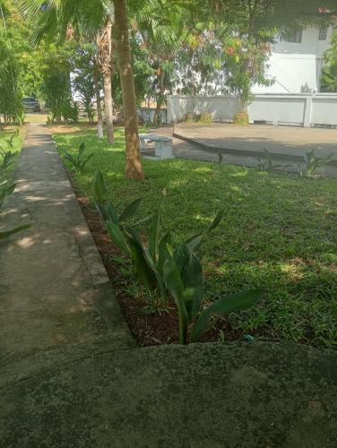 Bella Casa Malindi Casuarina in 馬林迪