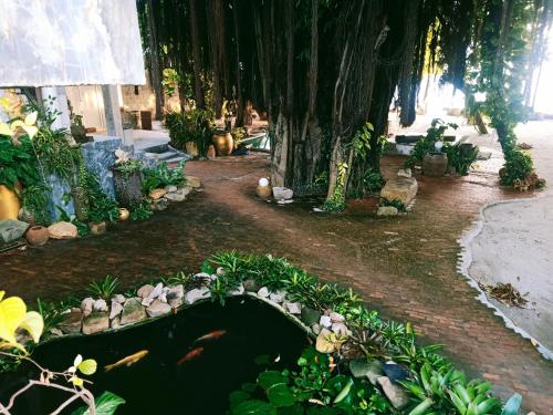 Anodash Homestay Room Type - Double Room