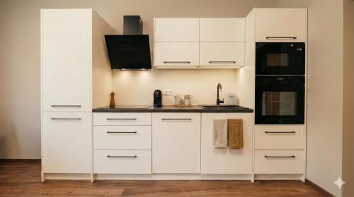 Kitchen, Samaya Apartment in Litomerice