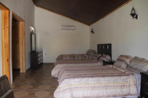 odivin hotel luxury suite