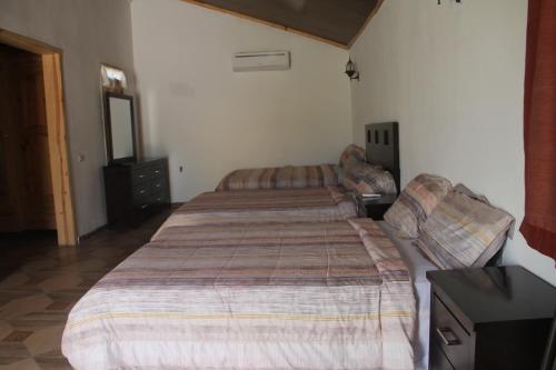 odivin hotel luxury suite