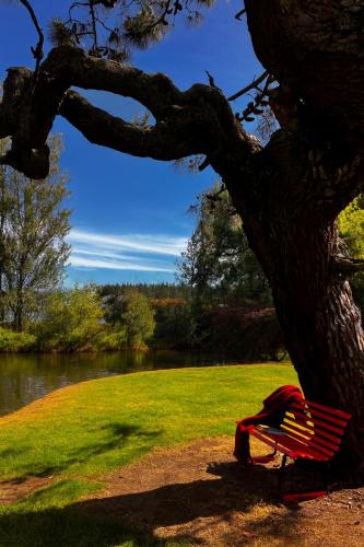 Näkymä, Willows on Wylie in Foxton Beach