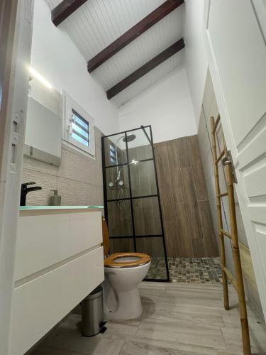 Vannas istaba, LIGHTUAL - Appartement jacuzzi privatif - 6 pers - calme - sans vis a vis - 2 ch et 1 mezzanine - 2  in Gros-Morne