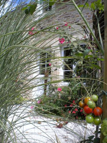 Le routoir in Fayl-Billot