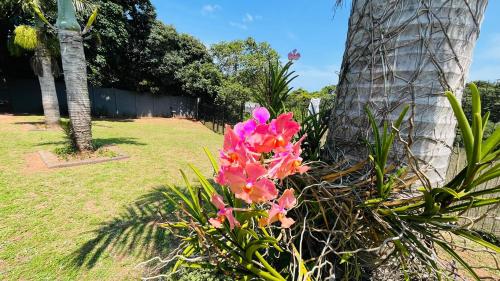 Surrounding environment, Royal Guesthouse The Castle in Mtunzini