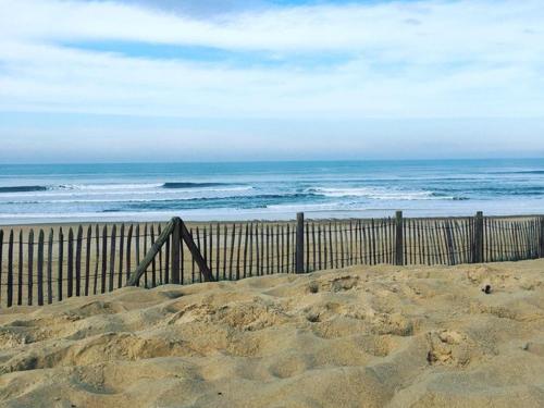 Appartement Moliets-et-Maa 2 pièces 4 personnes - FR-1-379-113 - image 6