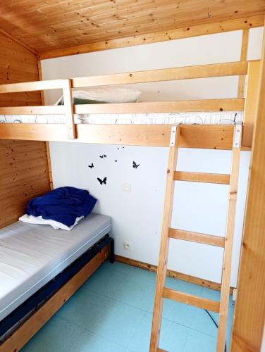 Chalet 1 in Cazilhac (Languedoc-Roussillon)