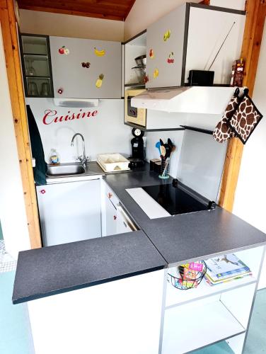 Chalet 1 in Cazilhac (Languedoc-Roussillon)