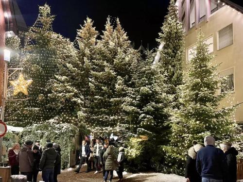 Aktivitäten, Remshalden in Remshalden