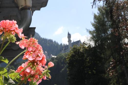 Comfort Double Room with Balcony and Castle View