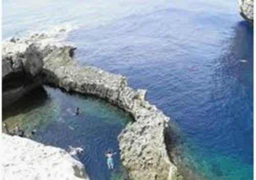 Shared cauchi corner house with roof top pool and pay per use aircondition in Gozo