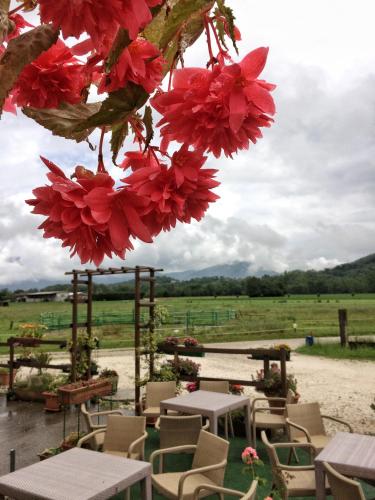  Agriturismo San Floreano, Pension in Buia bei Colloredo di Monte Albano