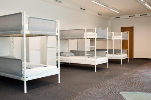 Mild Elephants Hostel in ברטיסלאבה