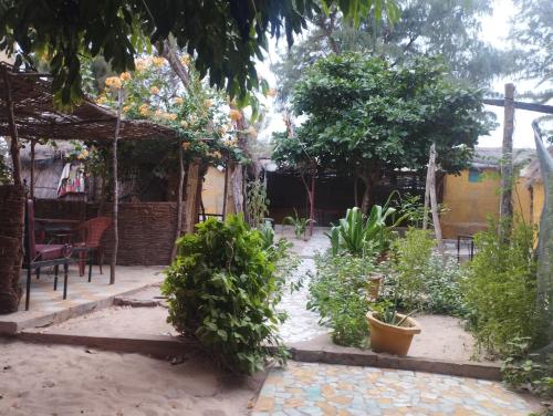 Auberge Côté Plage - Ex Pélican (Auberge Cote Plage - Ex Pelican) in Saint Louis