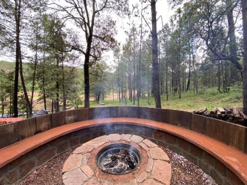 Aurea Glamping Domo Geodésico de lujo (Aurea Glamping Domo Geodesico de lujo) in Refugio