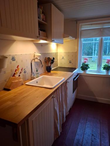 Chilla, House with Wifi, fully fenced, fireplace in the woods in Hallerud
