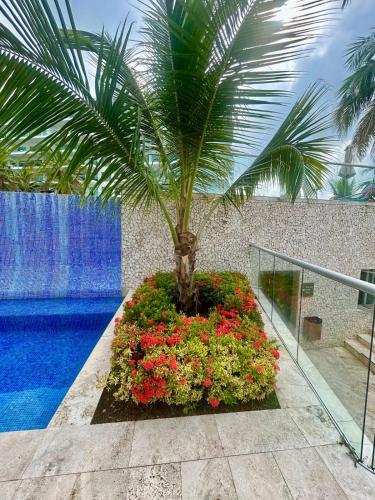 Mar y piscina gigante en el caribe - image 4