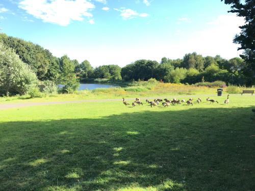 Lakeside View, Perton Village