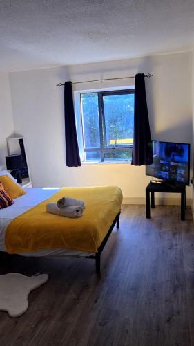 Entire 2bed apartment in Limerick City Center