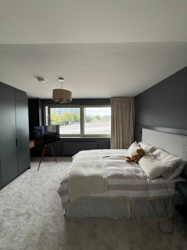4 bedroom in Dublin4 - image 9