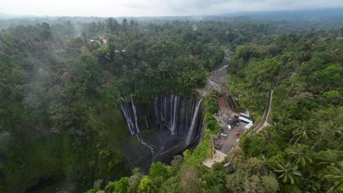 AJA Homestay in Lumajang