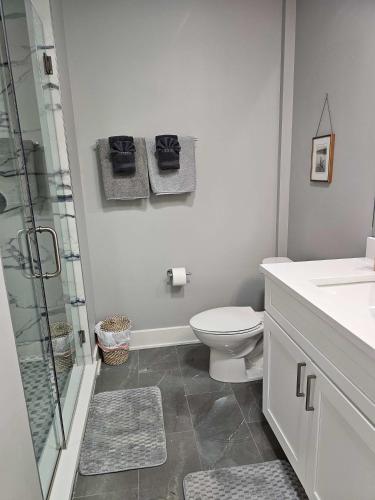 Updated 3 Bedroom Chicago Downtown Pilsen - image 3
