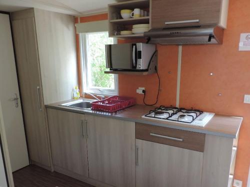 Mobil-home avec Terrasse pour 4 personnes - API-1-52-930 in Iljēra-Kombrē
