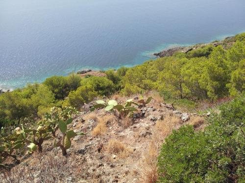 A környék, Casa Nicoletta in Ustica