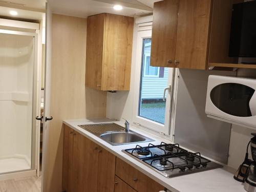 Mobil-home confortable avec terrasse - API-1-52-1100 in Luynes