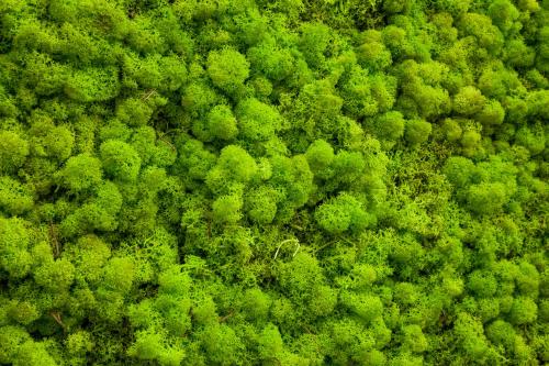 Sud Ibiza Suites - image 11