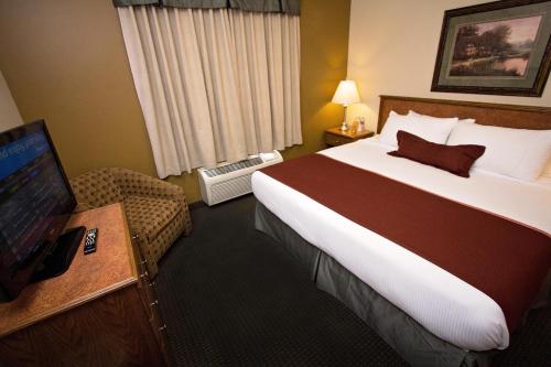 1 king bed, 1 sofa bed