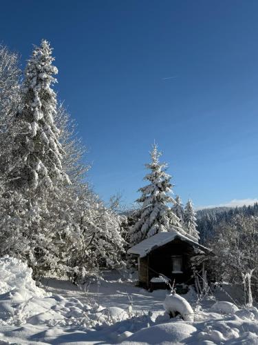Appartement 6/8 personnes in Brey-et-Maison-du-Bois