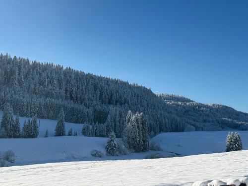 Appartement 6/8 personnes in Brey-et-Maison-du-Bois