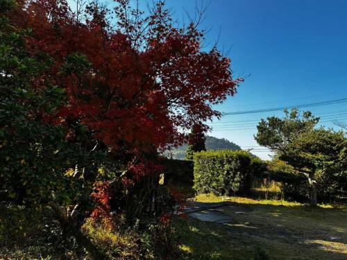 顔house 若水庵 築100年の古民家ステイ 北総の田園に佇む和の隠れ家 最大12名宿泊可