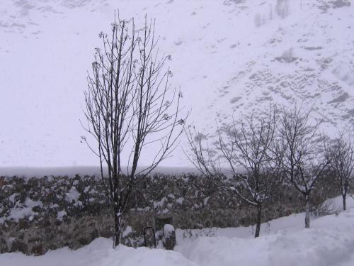 Skats, Red Stone Guest House in Kazbegi