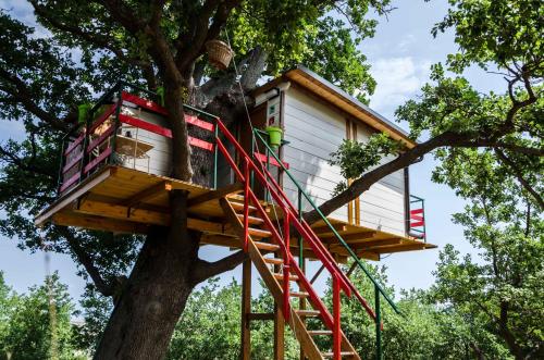 Casa sull'Albero - Lentella