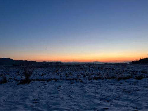 Toma House 北海道で暮らすように泊まる 庭と薪ストーブのある一棟貸し