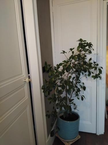 L'appart in Vinneuf ciems